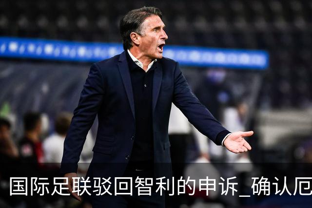 国际足联驳回智利的申诉 确认厄瓜多尔参加世界杯